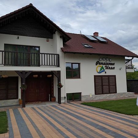 Hotel Pensiunea Ursa Bistrita Bargaului Exterior foto